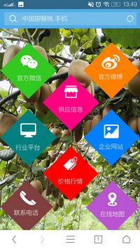 中国猕猴桃.手机